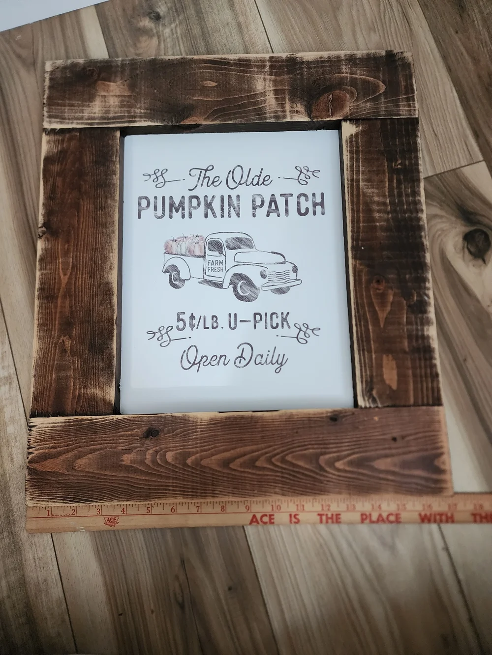 Rustic Pumpkin Patch Framed Wall Art - Brown and White